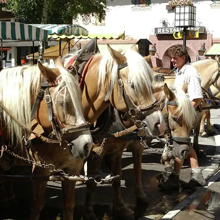 Daire In Seefeld Near Rosshuette Seefeld in Tirol