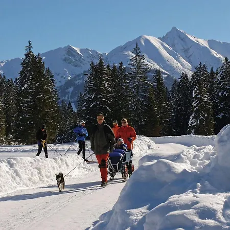 In Seefeld Near Rosshuette *