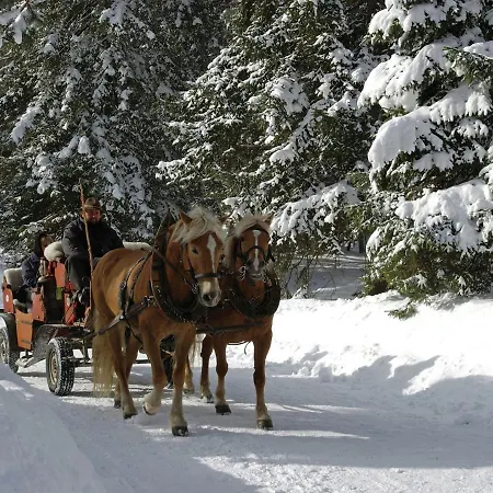 Lejlighed In Seefeld Near Rosshuette