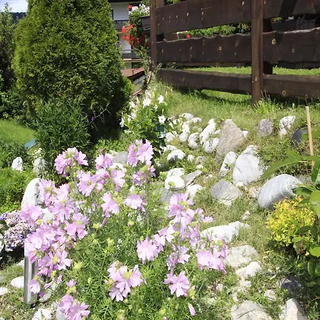 In Seefeld Near Rosshuette Apartment