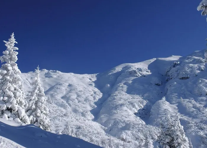 In Seefeld Near Rosshuette Appartement *