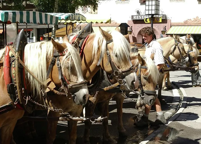Appartement In Seefeld Near Rosshuette Seefeld in Tirol