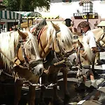 Апартаменты In Seefeld Near Rosshuette Зеефельд в Тироле