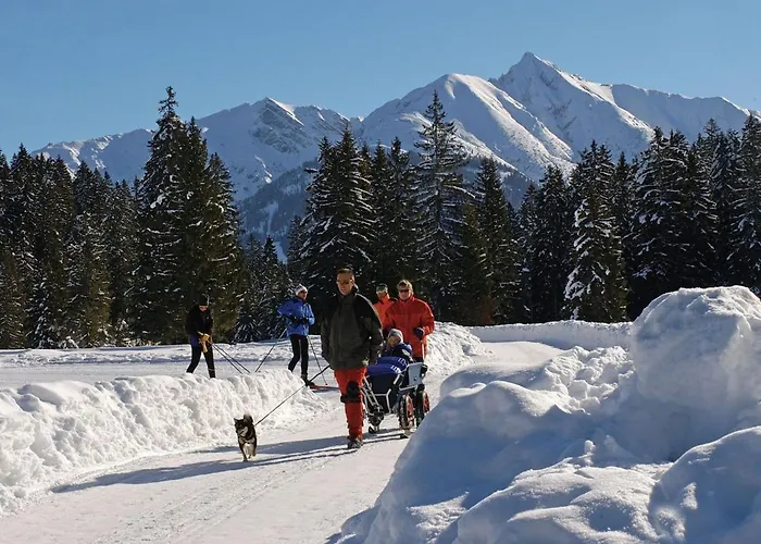 In Seefeld Near Rosshuette *