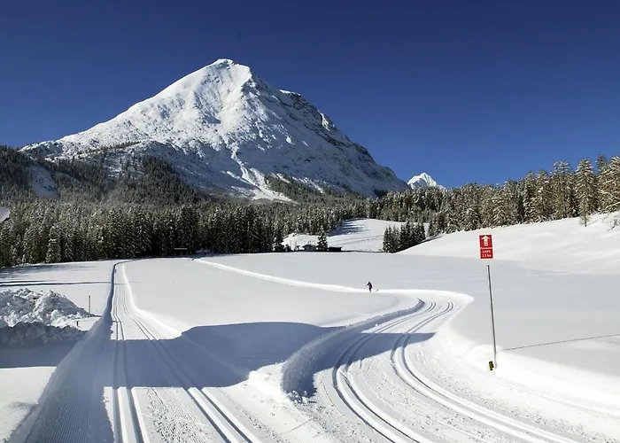 In Seefeld Near Rosshuette